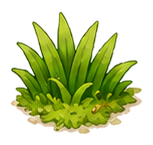 grass